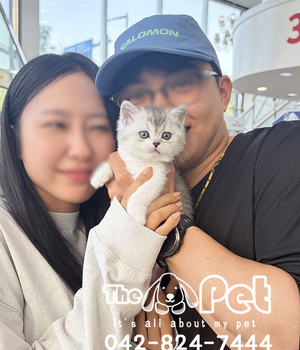 브숏 분양후기(26.05.10)