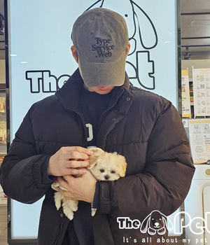 [중리점] 말티푸 분양후기(26.01.17)